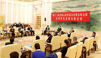 Plenary meeting of 12th NPC deputies from Taiwan opens to media
