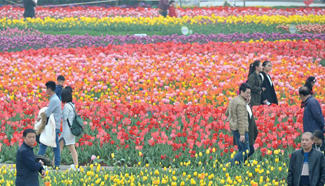 Tourists enjoy tulip blossoms in C China's Hunan