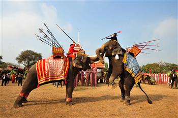 National Elephant Day marked in Ayutthaya, Thailand