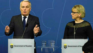 French FM attends press conference with Swedish counterpart