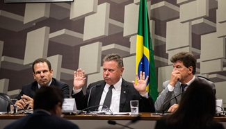 Brazil's Agriculture Minister speaks during meeting at Senate in Brasilia
