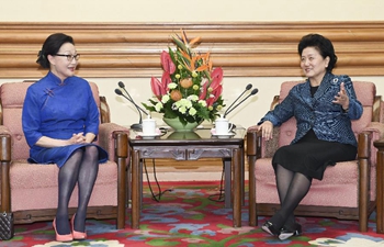 Vice premier meets U.S. overseas Chinese leader in Beijing