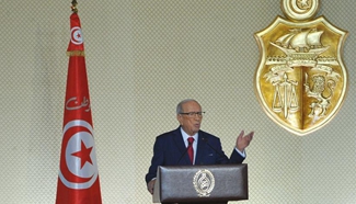 Army to protect Tunisia's national wealth from protests: president