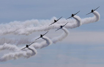 14th annual Bethpage Air Show held in New York