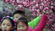 中國梅花之鄉舉行梅花節