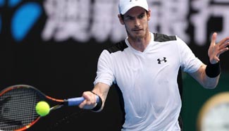 Murray beats Ferrer during Australian Open
