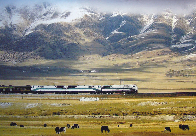 2011年6月7日，上海開往拉薩的列車從唐古拉山山腳下經過。
