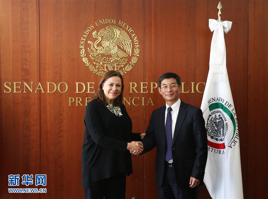（XHDW·圖文互動）墨西哥參議院第一副參議長：中國的發展將使世界更加美好