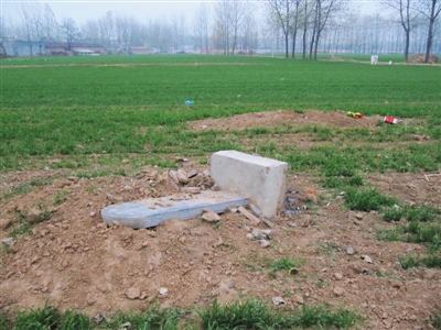 昨日，周口市郊的一村莊農田裏，一座墓碑斜躺在鏟平的墳頭上。新京報記者 孟祥超 攝