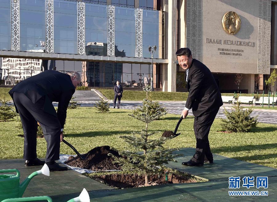 5月10日，國家主席習近平與白俄羅斯總統盧卡申科一道，在明斯克獨立宮貴賓林種植象徵兩國人民友誼的雲杉樹。 新華社記者李濤攝 