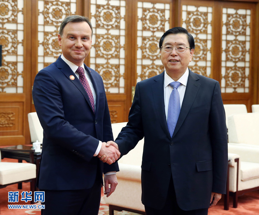 11月26日，全國人大常委會委員長張德江在北京人民大會堂會見波蘭總統杜達。 新華社記者 姚大偉 攝 