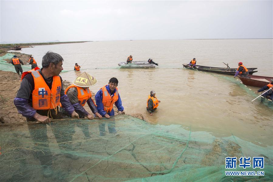 #（環境）（3）我國再次啟動長江江豚遷地保護計劃