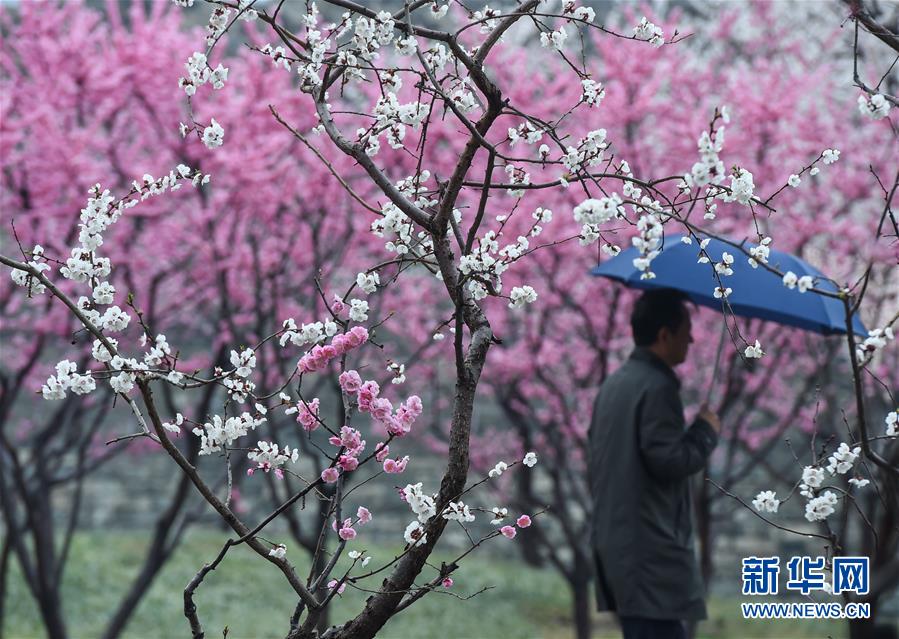 （環境）（1）北京：春雪或伴春雨至