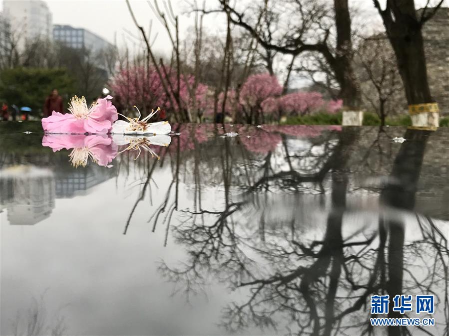 （環境）（7）北京：春雪或伴春雨至