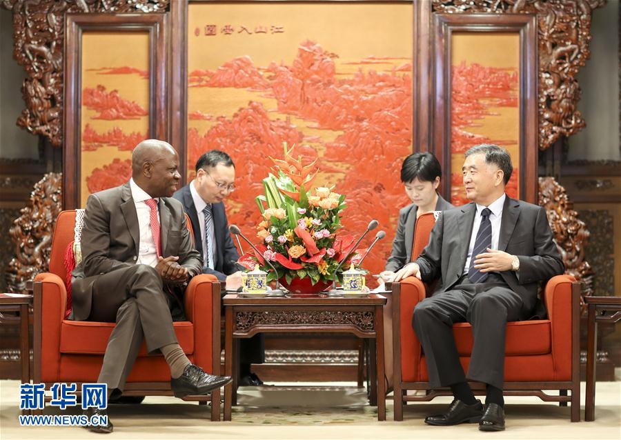 8月28日，國務院副總理汪洋在北京中南海會見國際農業發展基金總裁吉爾貝·洪博。 新華社記者丁林攝