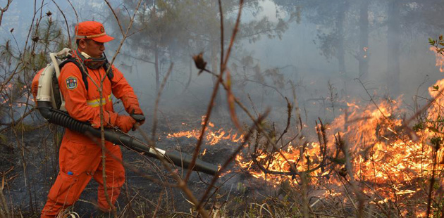 雲南呈貢發生森林火情 950多人全力撲救