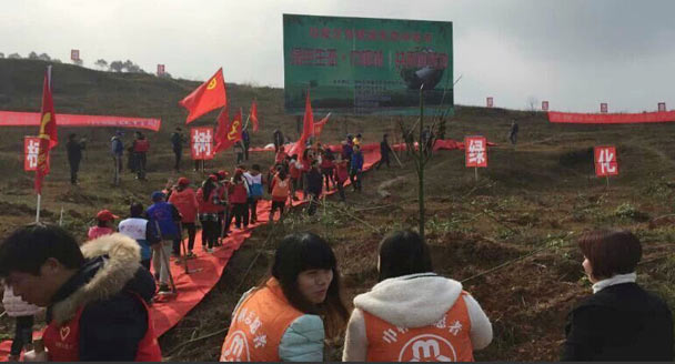 湖南永州領導踩紅毯植樹被質疑