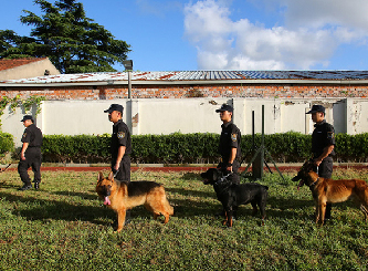 探班上海警犬訓練基地 個個都是英勇“好漢”