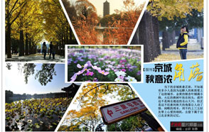 細數京城十大“最美秋天的角落”