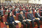 章子怡李冰冰參加致公黨代表大會(圖)