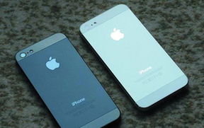 iPhone5上市銷售 北京蘋果店遭人砸玻璃入室