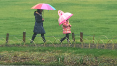 杭州迎來立春後的第一場雨