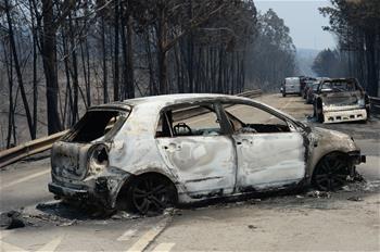 葡森林火災造成至少62人死亡 政府宣布進入緊急狀態