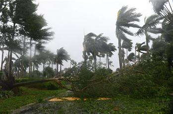 颶風“艾爾瑪”登陸美國佛羅裏達