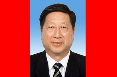 第十二屆全國人民代表大會常務委員會副委員長張平