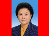 中華人民共和國國務院副總理劉延東