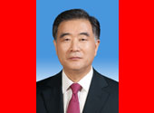 中華人民共和國國務院副總理汪洋