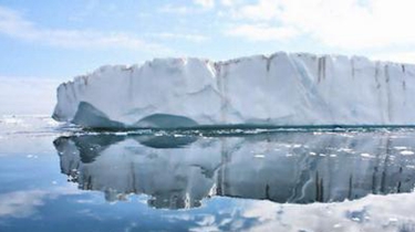 北極冰層融化或給海洋生物“加餐”