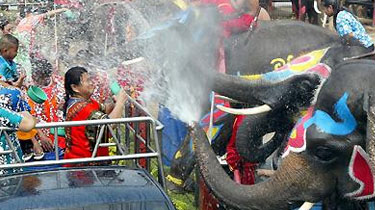 狂歡！泰歷新年大象上街 玩“潑水”與遊客互動