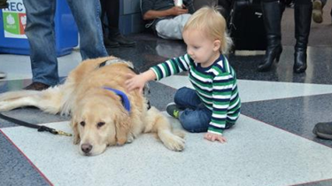 妙招！機場部署“解壓犬”助旅客舒緩情緒