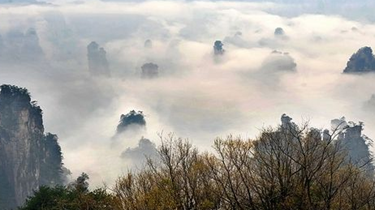 湖南：張家界連續三天現雲海景觀