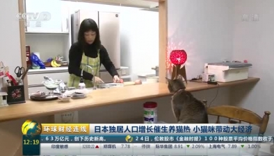 日本獨居人口增長催生養貓熱 小貓咪帶動大經濟