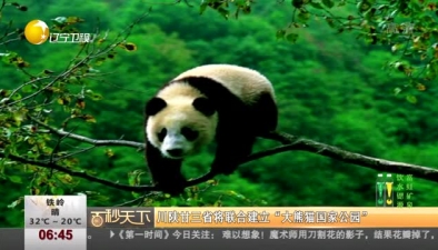 川陜甘三省將聯合建立“大熊貓國家公園”