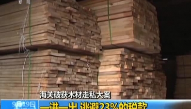 海關破獲木材走私大案：一進一出 逃避23%的稅款