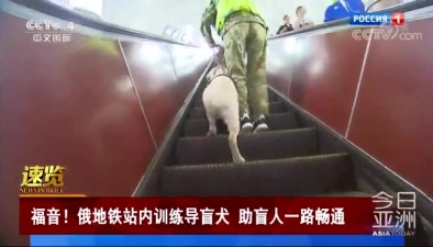 福音！俄地鐵站內訓練導盲犬 助盲人一路暢通