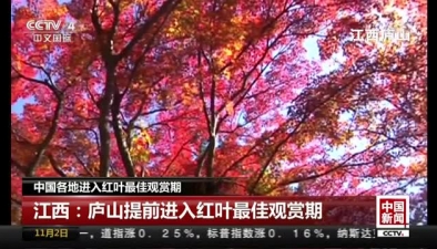 中國各地進入紅葉最佳觀賞期：江西廬山提前進入紅葉最佳觀賞期