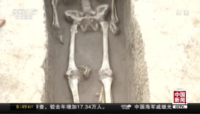西安高陵發現5600年前大型仰韶文化墓葬群