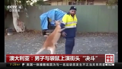 澳大利亞：男子與袋鼠上演街頭“決鬥”