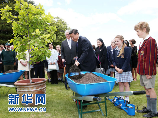 11月18日，國家主席習近平在澳大利亞塔斯馬尼亞州與朗塞斯頓市斯科奇－歐克伯恩小學的小學生共同植樹。新華社記者 姚大偉 攝