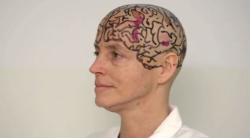圖為該教授在自己光頭上展示的大腦構造圖。