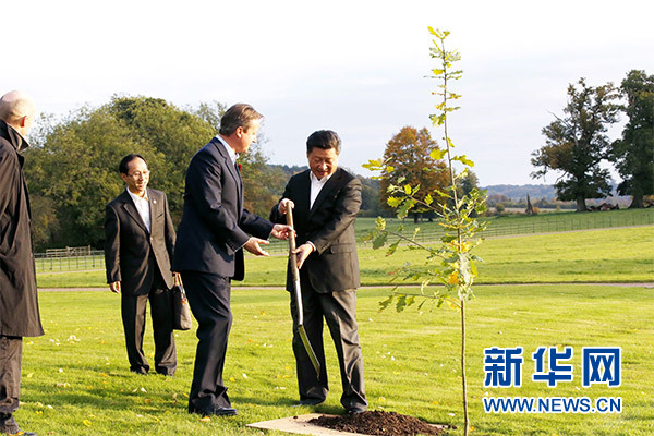 兩國領導人一同在別墅草坪，共同種下象徵中英友誼的橡樹。新華社記者 鞠鵬 攝