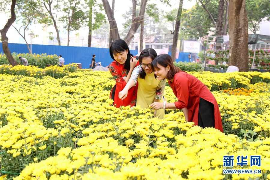 （XHDW）（1）越南胡志明市舉辦春節花市