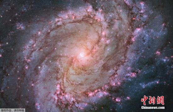 資料圖：哈勃望遠鏡拍攝螺旋星係M83 絢麗紫色宛如寶石