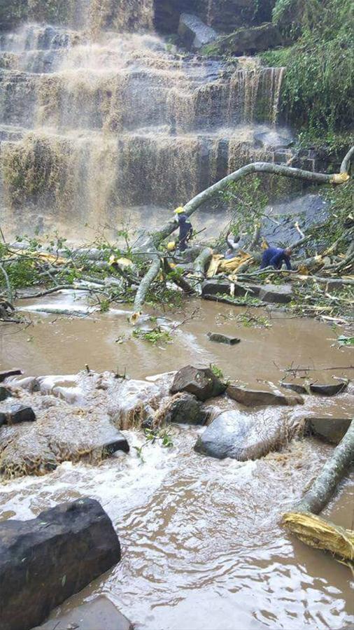 （國際）迦納一瀑布景區發生大樹倒塌事故至少16人死亡