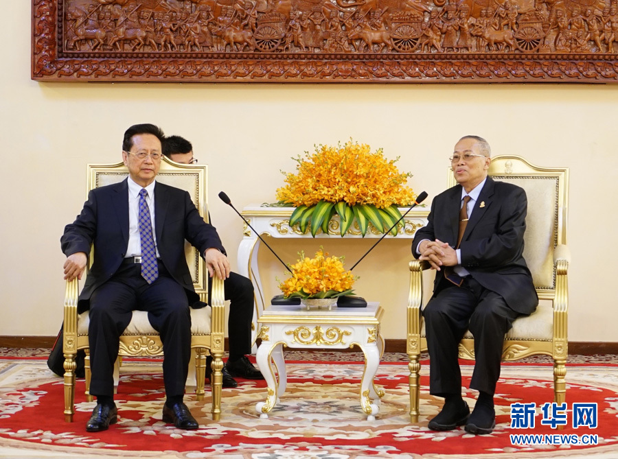 3月31日，正在柬埔寨訪問的全國人大常委會副委員長陳昌智（左）在金邊會見柬埔寨參議院代主席奈本納。 新華社記者張艷芳攝