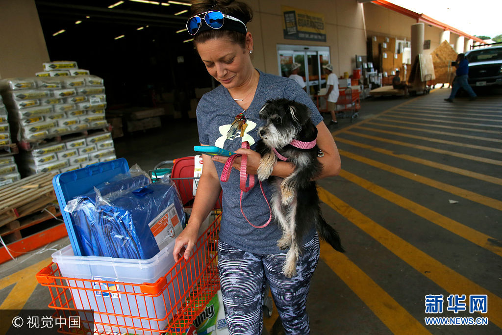 當地時間2017年9月5日，美國佛羅裏達州坦帕，民眾在商店採購食品、飲用水和三合板等物資，準備迎接颶風“艾瑪”。“艾瑪”當天增強為5級颶風，並向佛羅裏達州靠近。***_***TAMPA, FL - SEPTEMBER 05:  Michelle Smith checks her smart phone for news while clutching her dog Sophia as she leaves a Home Depot store with storm preparation supplies as residents in the area prepare ahead of Hurricane Irma on September 05, 2017 in Tampa, Florida. The National Hurricane Center (NHC) has reported that  Hurricane Irma has strengthened to a Category 5 storm as it crosses into the Caribbean and is expected to move on towards Florida.  (Photo by Brian Blanco/Getty Images)